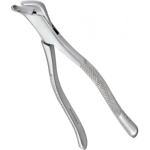 Extracting Forceps Adults 